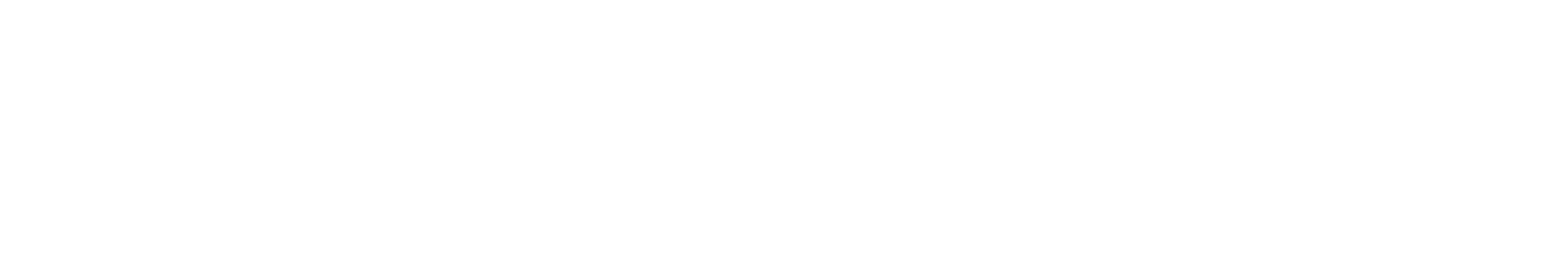 AI Advantage Agency